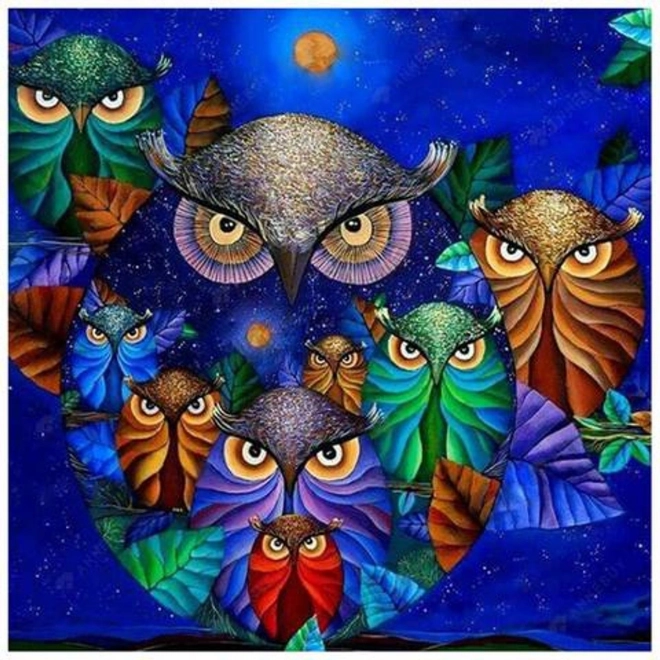 Dijamantno slikanje 7D – sove na noćnom nebu 30 × 40 cm