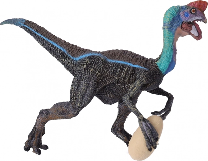 Idealno za učenje i kolekciju