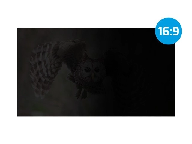 Filtr za zaštitu osobnih podataka Natec Owl 16 inča 16:10