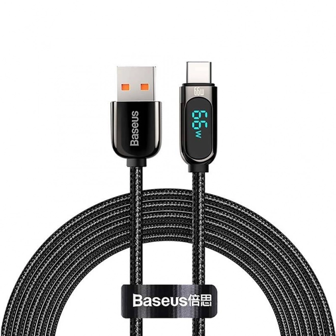 Baseus Kabel za prikaz USB na Type-C, 66W, 2 m (crni)