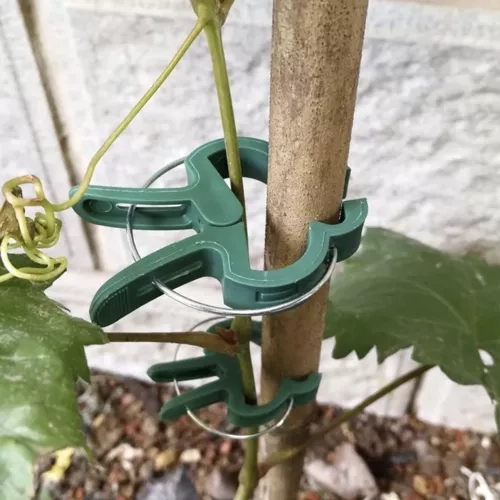 Klipovi za biljke - 108 kom. Gardlov 22586