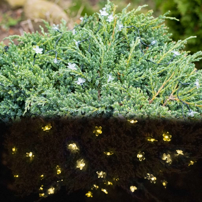 Solarnu vrtno cvjetno osvjetljenje 7m 50LED topla bijela