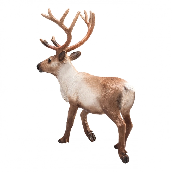 Mojo Animal Planet Pas