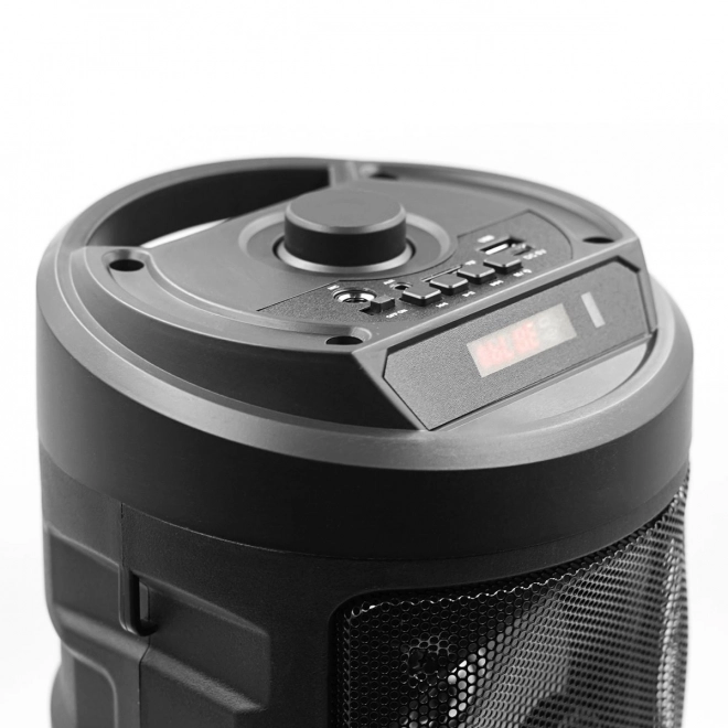 Bluetooth zvučnik Harmony s karaoke funkcijom