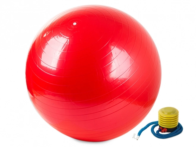 Gimnastička lopta s pumpom za fitness i rehabilitaciju