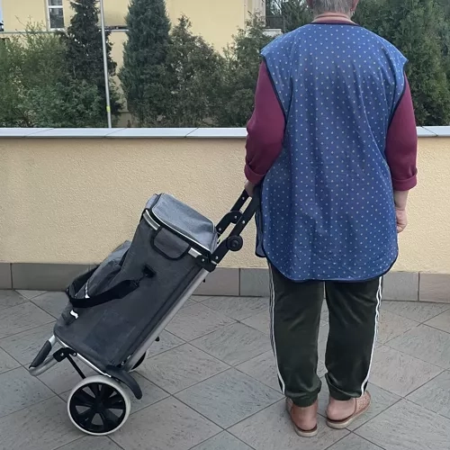 Sklopivi prijevozni kolica Gardlov 23187