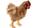 Plišana Kokoš