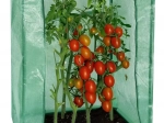 Vrtni plastenik 100 × 50 × 150 cm
