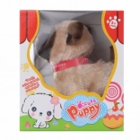 Hodajući smeđi psić