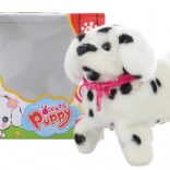 Hodajući psić dalmatiner sa saltima