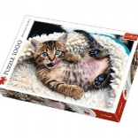 Slagalica 1000 dijelova - Vesela mačkica Trefl