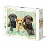 Puzzle od 1000 dijelova Tri Labradora