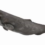 Kit iz kolekcije Collecta