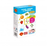 Igra sa školom - Voće i Povrće