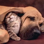 Puzzle Clementoni 500 dijelova Mazenje