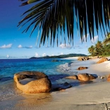 Ravensburger puzzle Pod palmama 1000 dijelova