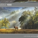Puzzle od 1000 dijelova – jutarnji pozdrav