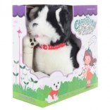 Psić na uzici s upravljanjem