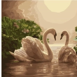 dijamantno slikanje Labuđa pjesma 30 × 40 cm