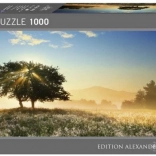 Puzzle 1000 dijelova Svjetlosni efekti