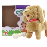 Smeđi psić na kabel s daljinskim upravljačem