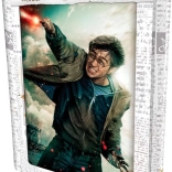 3D puzzle HARRY POTTER – Harry, 300 dijelova
