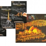 ARTLOVER zlatna strugalica – noćni pogled na Operu u Sydneyu